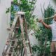 Person passer blomster udenfor sit hjem